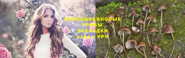твердый Белокуриха
