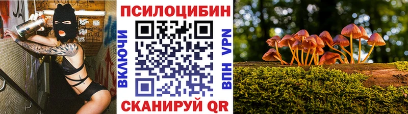 гидра ССЫЛКА  Ядрин  Псилоцибиновые грибы Psilocybe  цена  