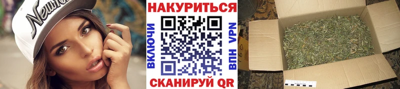 Конопля OG Kush  KRAKEN   Ядрин 
